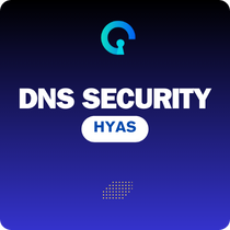DNS Security